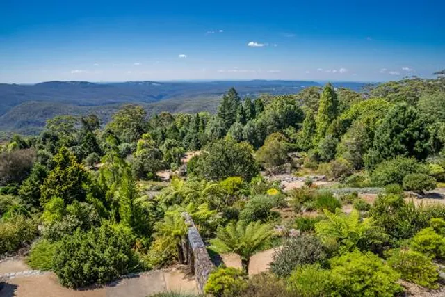 Blue Mountains Botanic Garden Mount Tomah