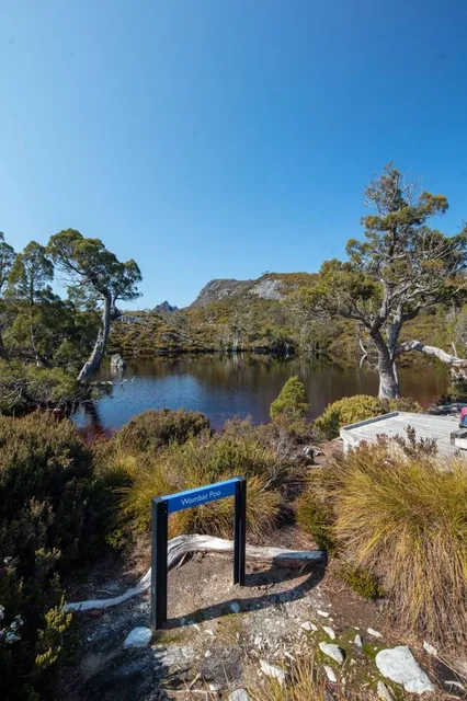 Wombat Pool