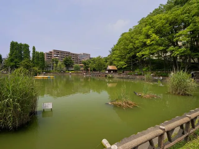 Mitsugi Park
