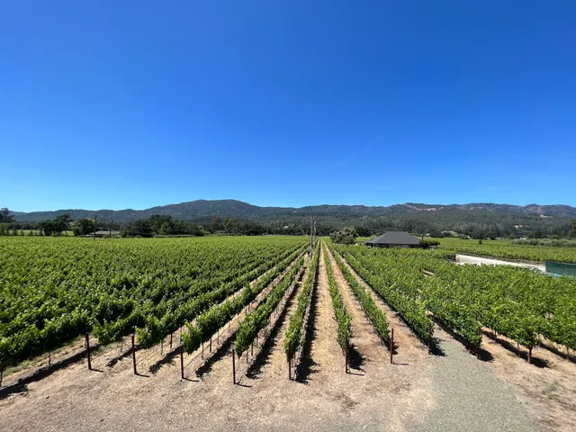 Whitehall Lane Winery