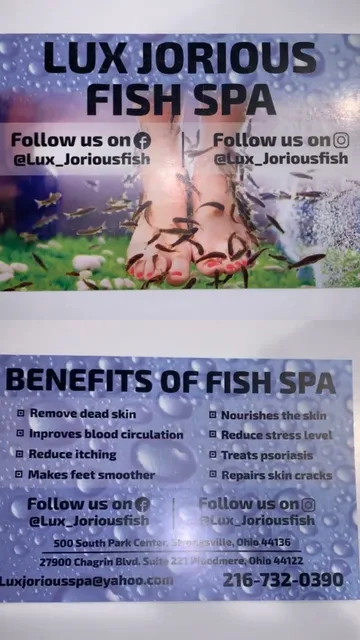 Lux'Jorious Fish Spa