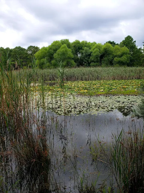Brighton at Barnegat