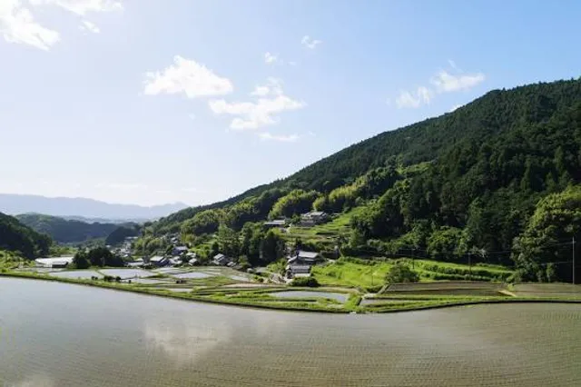 Sakaori Terraced Rice Fields