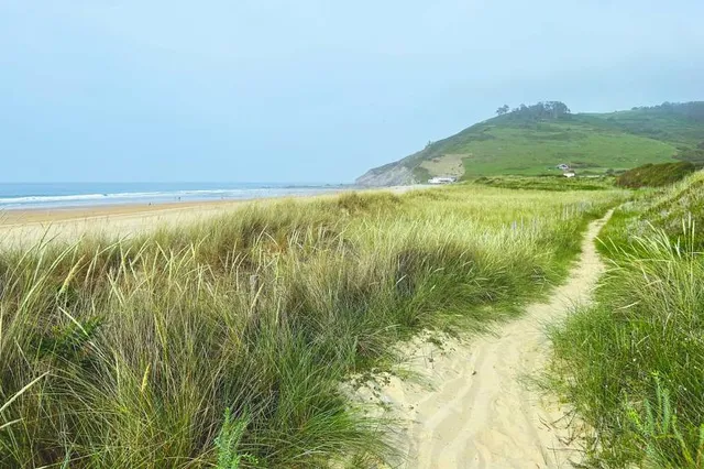 Playas de Berbes, Vega y La Sierra