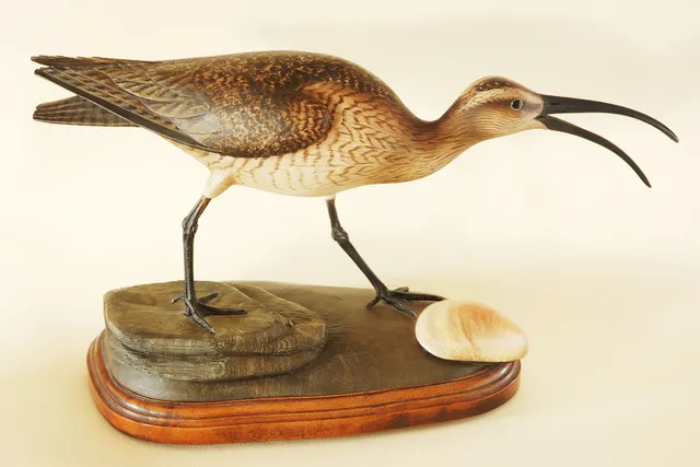 The Bird Store- The Outer Banks Wildlife Art Gallery