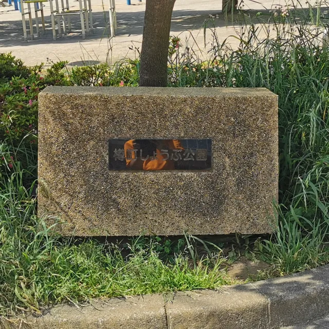 Tarumachi Shobu Park