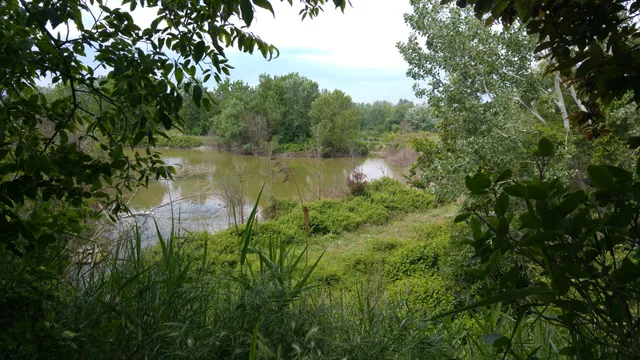 Oasi Del Colombarone