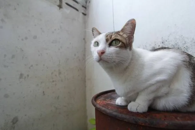 Museum Schloss Glücksburg