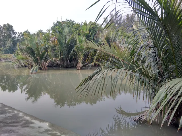 Mangrove Interpretation Centre