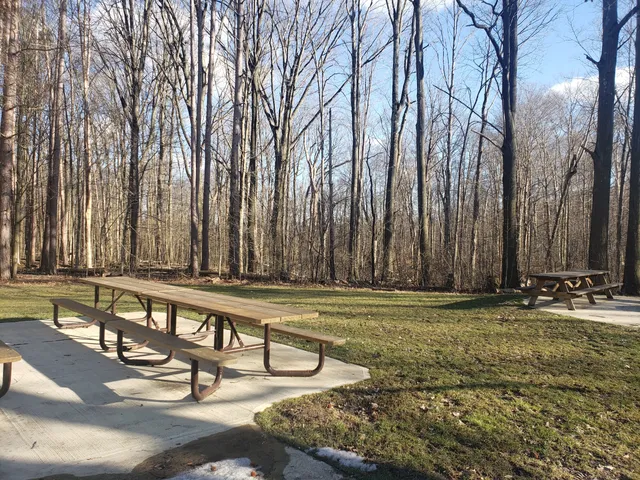 Shelterhouse Picnic Area