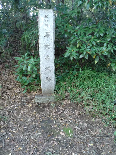 place image
