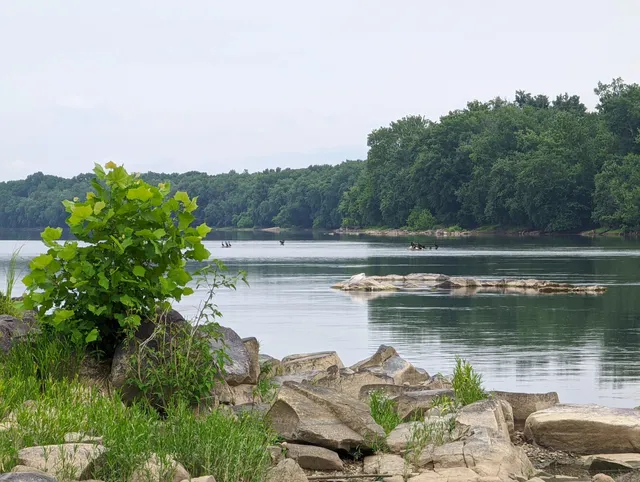 Bazil Newman Riverfront Park