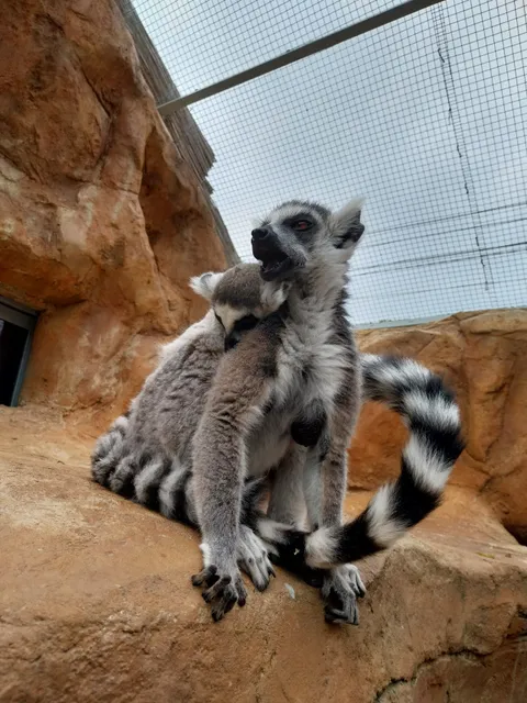 Ranč Pod Babicou (Zoo časť)