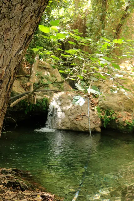 Mili Gorge Trailhead (south)