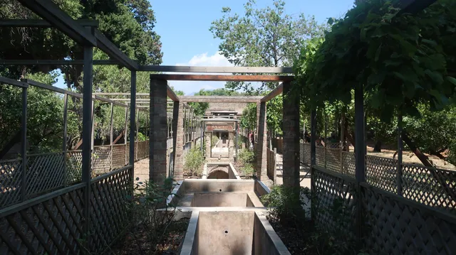 House of Octavius Quartio