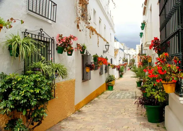 Estepona Town