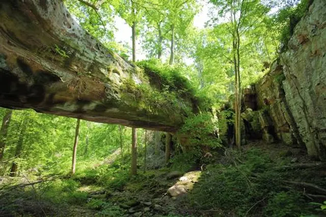 Pomona Natural Bridge