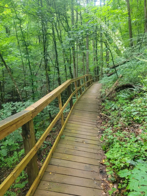 Vee Hollow Bike Trails