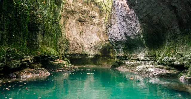 Bois de Belle-Rivière regional educational park