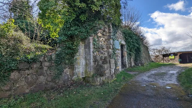 Ruine der Reichsburg Landskron