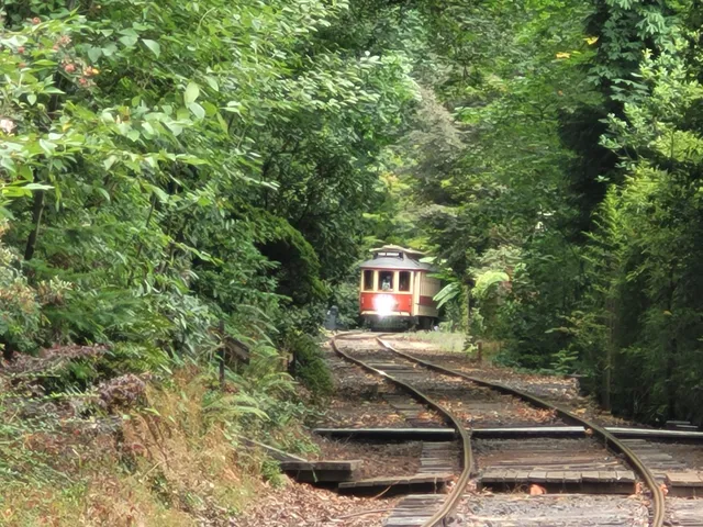 Willamette Shore Trolley