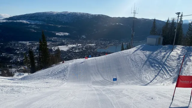 Skillevollen alpine Corporation