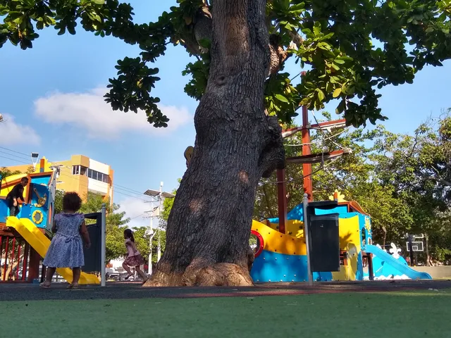 Parque Tomás Suri Salcedo