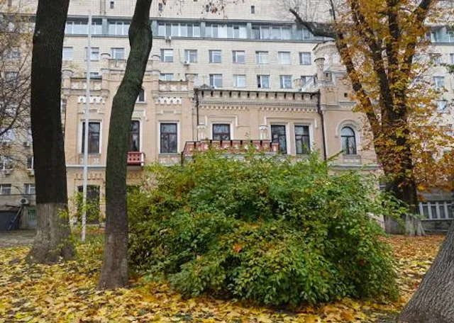 House Baron Steingel