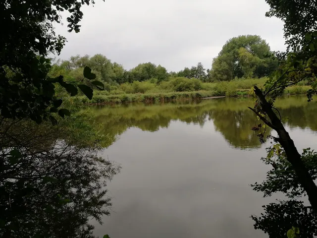 Mastbruch Nature Reserve