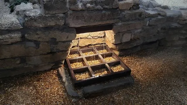 Ponce de Leon's Fountain of Youth Archaeological Park