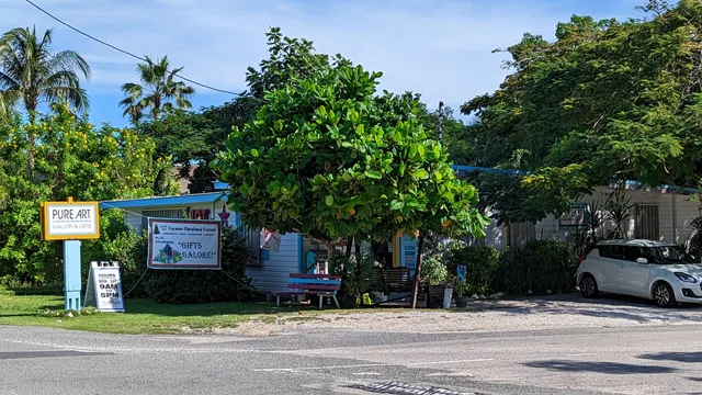 Pure Art Gallery & Gifts