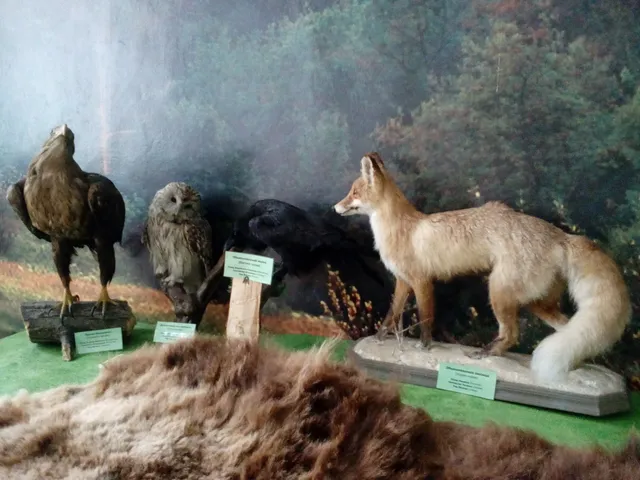 Istoriko Krayevedcheskiy Muzey "Samarskaya Luka"