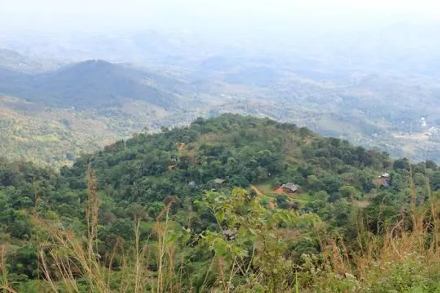 Palakkayam Thattu