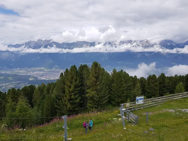 Alpine Garden Patscherkofel