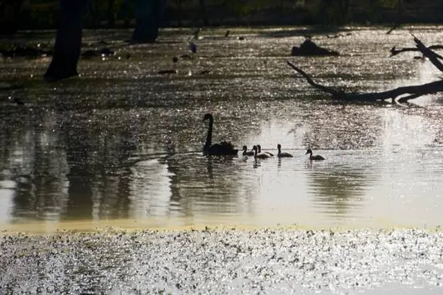 Kyabram Fauna Park (Zoos Victoria)