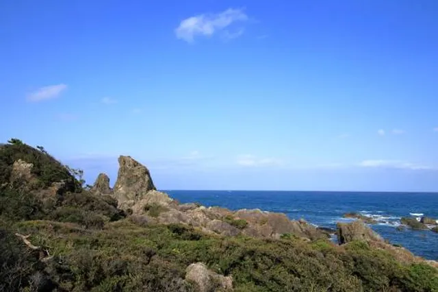 photo-3