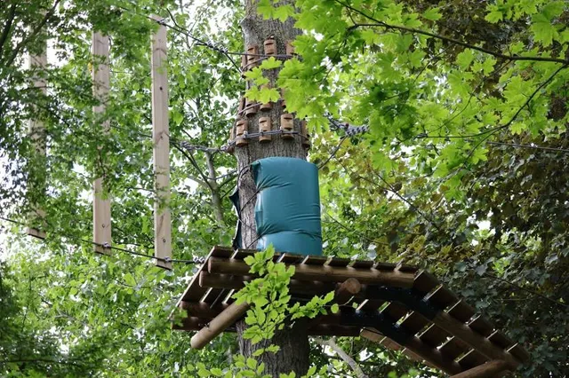CLIMB UP! - Kletterwald in Hennigsdorf