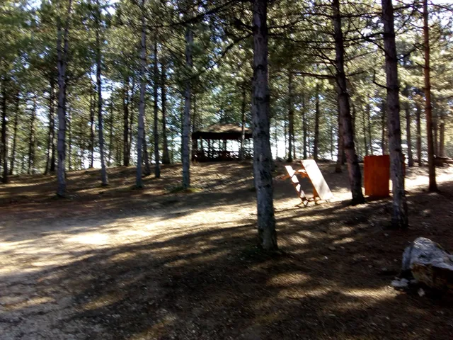 Safranbolu Kent Ormanı