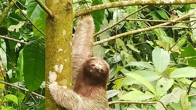 Spring Paradise Bijagua..Your Natural Experience!