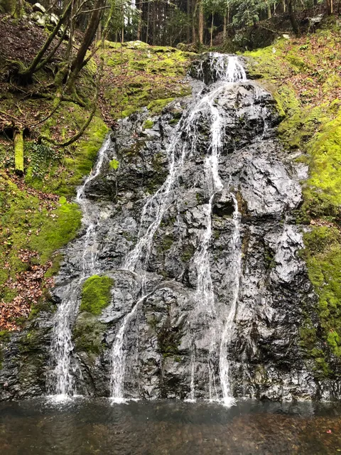 シラミズノタキ