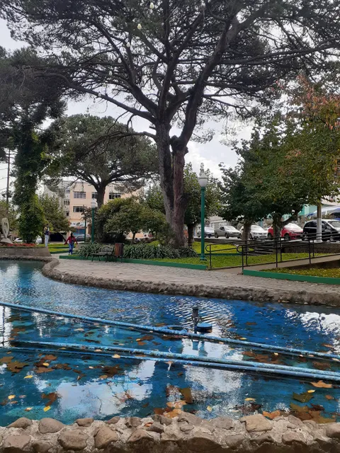 João Ribeiro Square