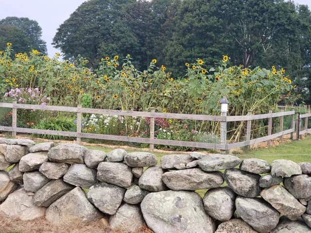 Avondale Farm Preserve