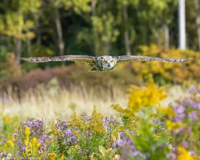 Brown County WI Barkhausen Waterfowl Preserve