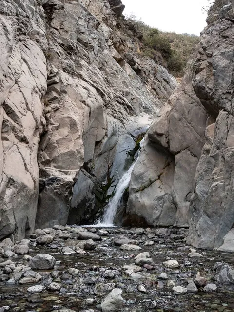 Parque Natural Quebrada de Macul