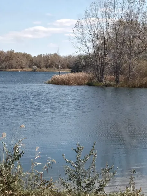 Bridgeport State Recreation Area