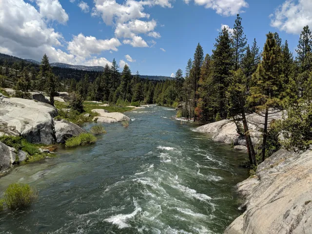 Sierra National Forest