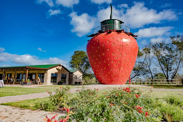 Giant Strawberry @ Redberry Farm