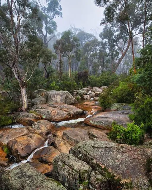 Brindabella National Park