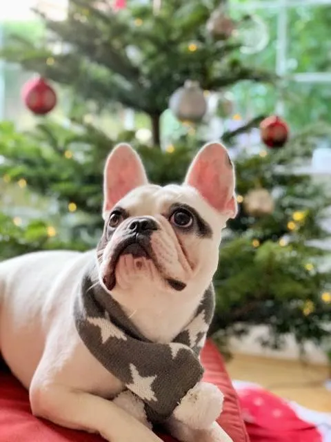 Tahtakuşlar Etnografya Galerisi