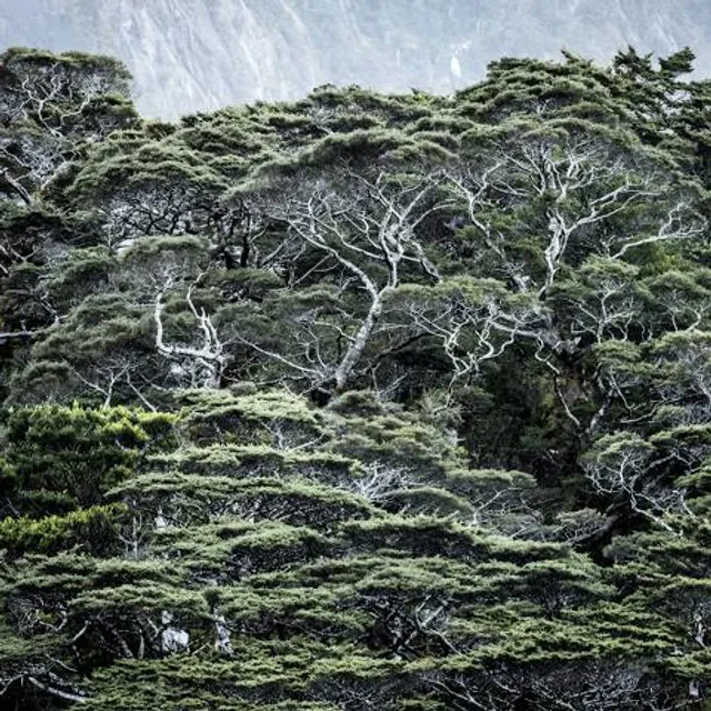 Gebiusskiye Vodopady